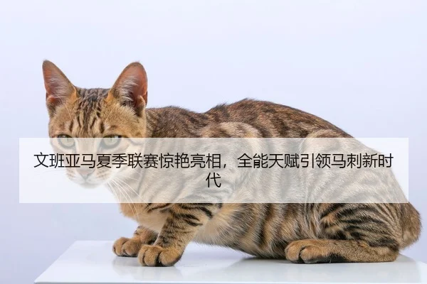 文班亚马夏季联赛惊艳亮相，全能天赋引领马刺新时代