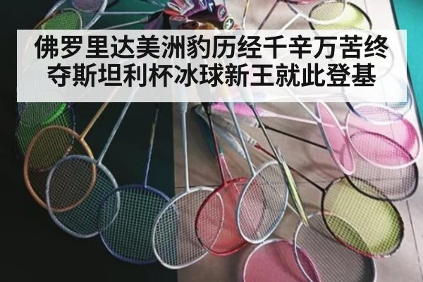 佛罗里达美洲豹历经千辛万苦终夺斯坦利杯冰球新王就此登基
